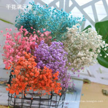 Factory price dried preserved dried flowers in glass bottles dried flowers for nails